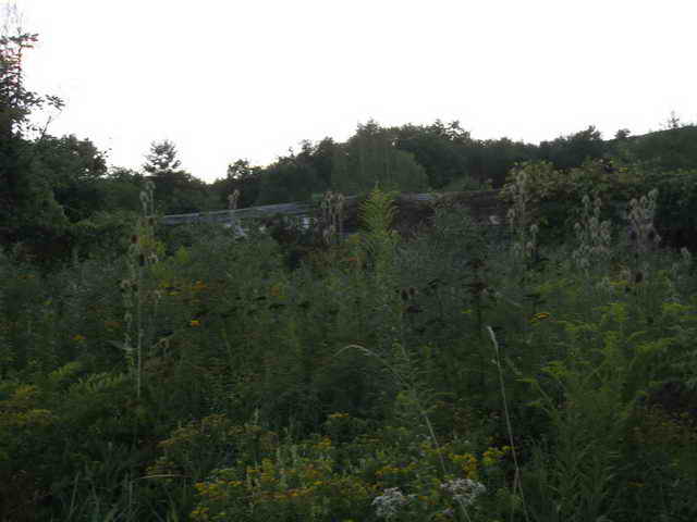 Moonlite Drive-In - 2014 Photo (newer photo)